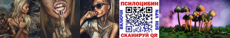 Купить где Курчатов Галлюциногенные грибы прущие грибы