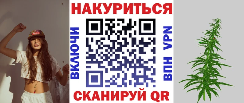 Купить где Курчатов Канабис THC 21%